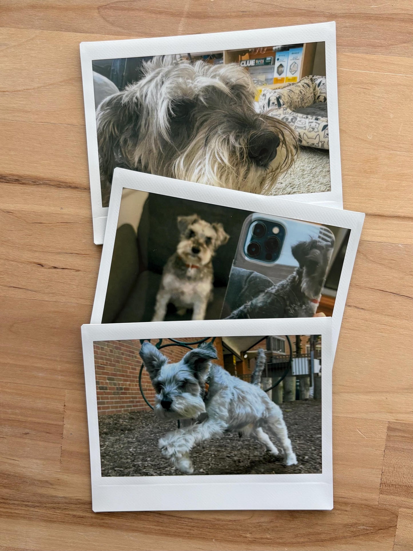 Custom Instax Wide Film Photo Printing – Retro Instant Prints Made from Your Digital Photos