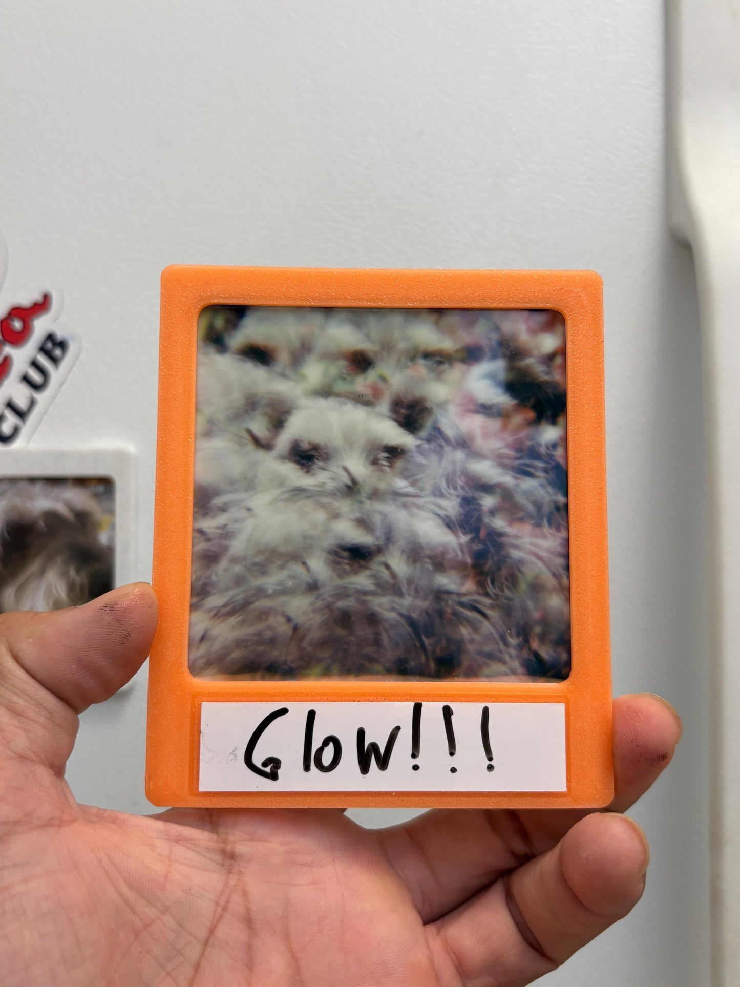 Polaroid Magnetic Photo Frame with Dry Erase Label: Fits SX-70, 600 & I-Type Film