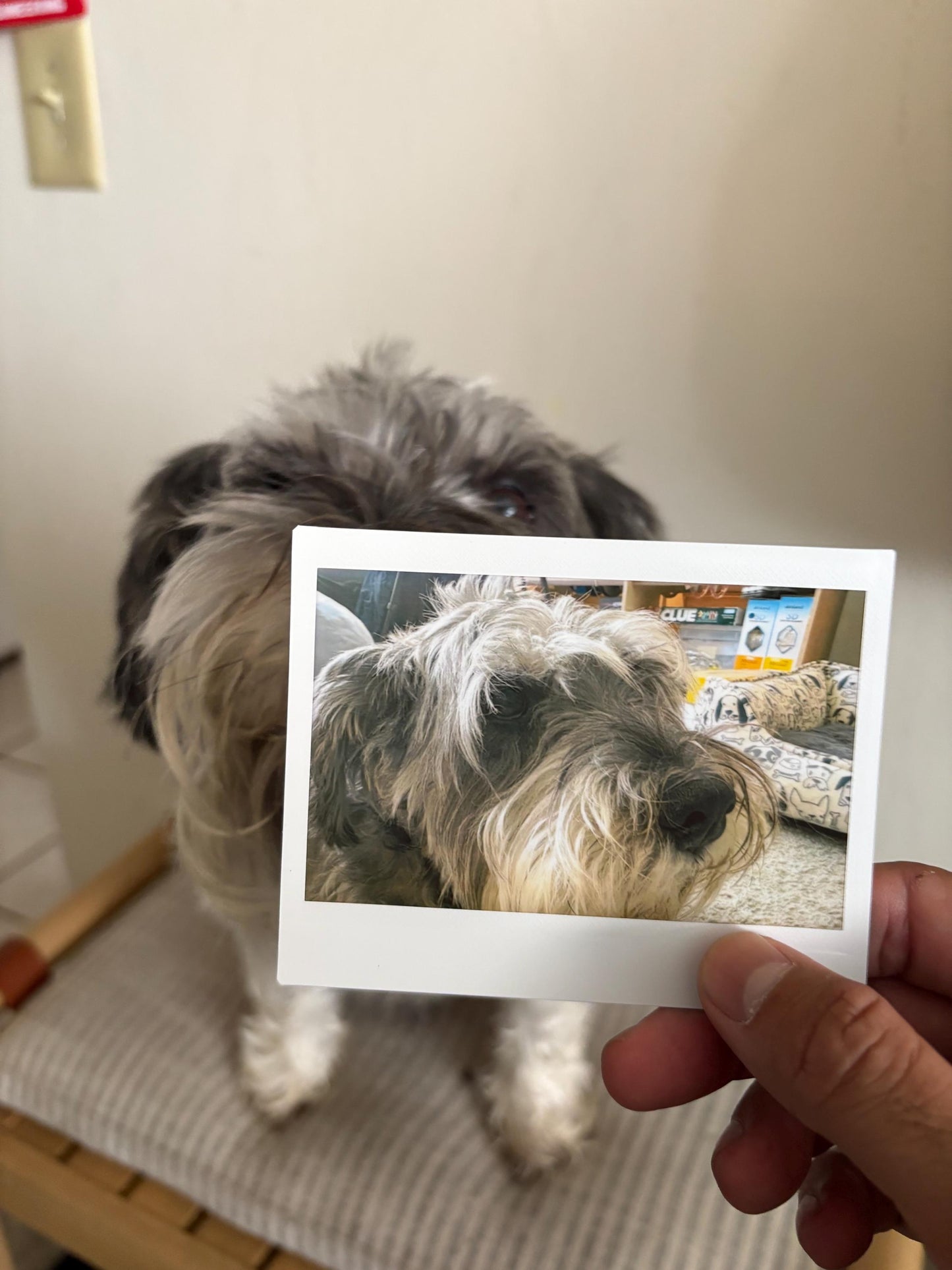Custom Instax Wide Film Photo Printing – Retro Instant Prints Made from Your Digital Photos